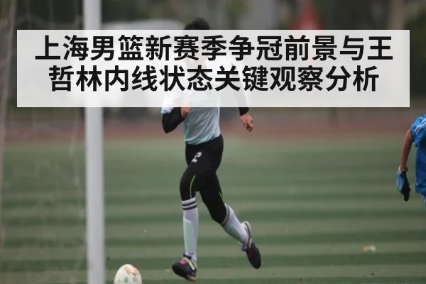 上海男篮新赛季争冠前景与王哲林内线状态关键观察分析